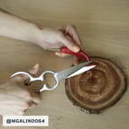 Forbici da cucina Matsato